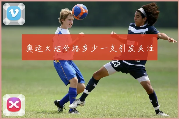 奥运火炬价格多少一支引发关注