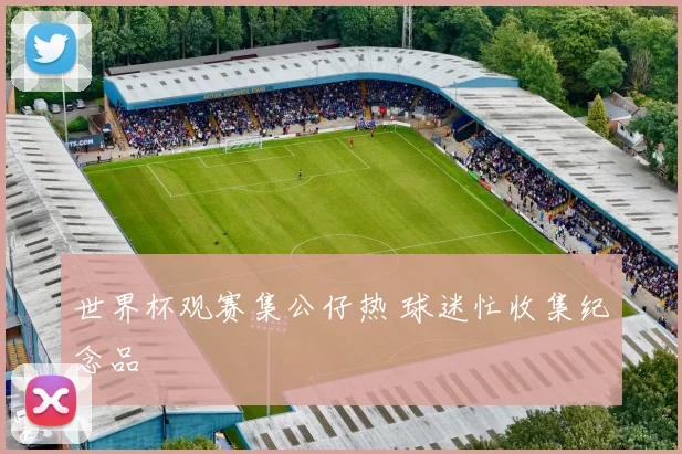 世界杯观赛集公仔热 球迷忙收集纪念品