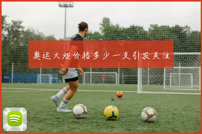 奥运火炬价格多少一支引发关注