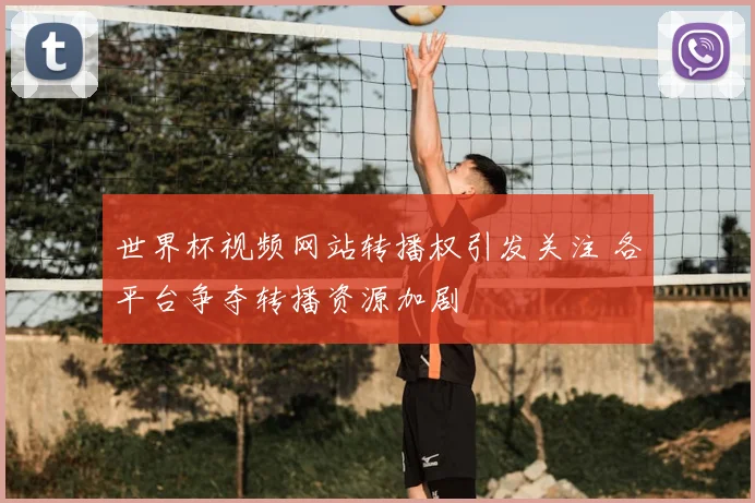 世界杯视频网站转播权引发关注 各平台争夺转播资源加剧