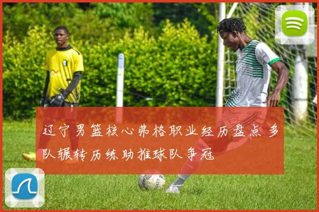 辽宁男篮核心弗格职业经历盘点 多队辗转历练助推球队争冠