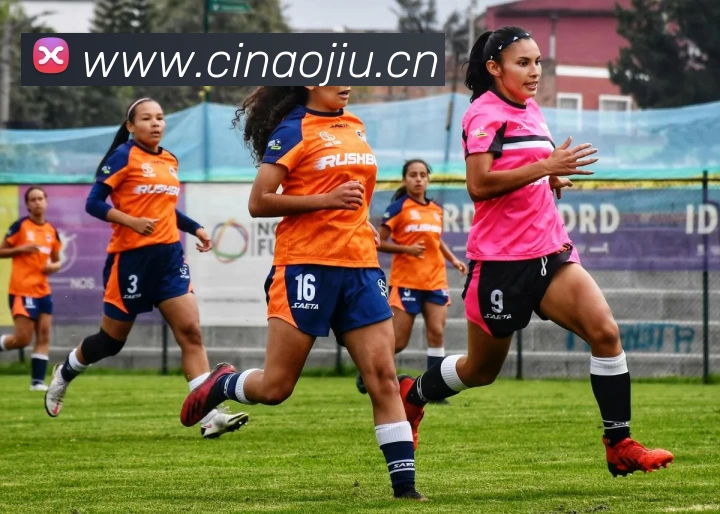 世界杯官网平台平台生态图